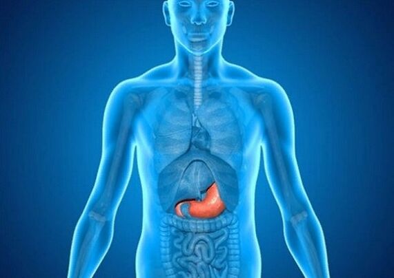 Stomach ulcer is the cause of back pain below the left shoulder blade
