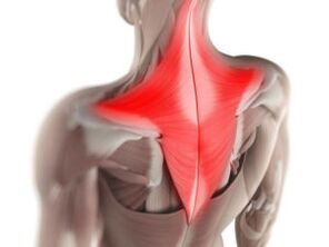 Myalgia is the cause of pain under the left shoulder blade