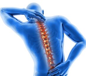Elements of the spine