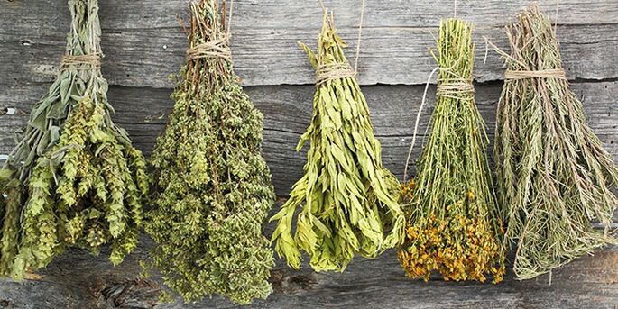 Herbal treatment for shoulder arthritis